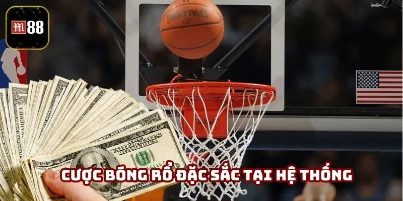 Cược bóng rổ đặc sắc tại hệ thống